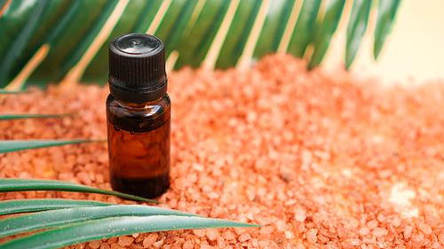 Cosmetic bottle with oil on a background of sea salt and tropical leaves. The concept of beauty, spa, aromatherapy, medicine.