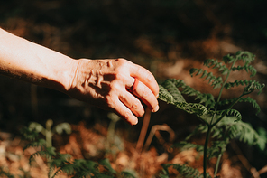 One old hand using a rubber ring reaching a plant in the middle of the forest during a sunny day