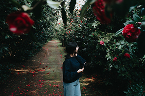 A young woman walking through a garden of red roses while using her phone with copy space