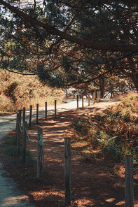 The path near the coast in Spain