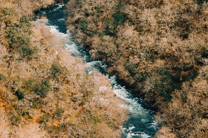 Close up of a river in the middle of the forest during a autumnal day with copy space