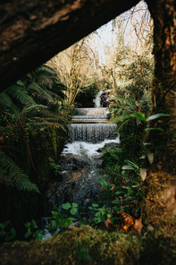 Massive waterfall in the middle of the forest filled with exotic plants during a sunny day, with copy space