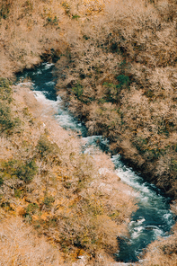 Close up of a river in the middle of the forest during a autumnal day with copy space