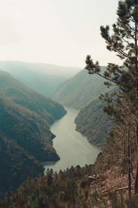 A massive river in the middle of the forest during a spring day with copy space liberty concept