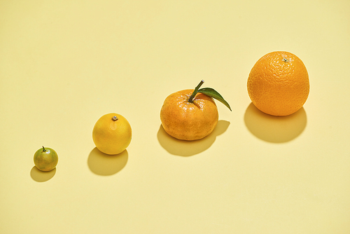 Citrus fruits are on a light yellow background. Kumquat, lemon, mandarin, orange are on a yellow background - Image