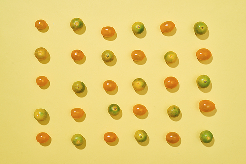 Seamless pattern with tomatoes and Calamondin or citrus microcarpa. Abstract background. Tomato on the yellow background