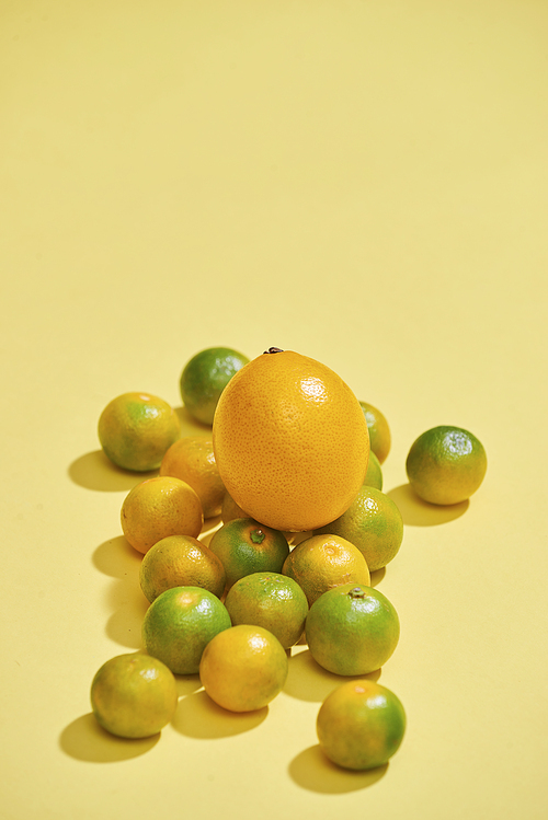 Citrus fruits are on a light yellow background. Kumquat, lemon, mandarin, orange are on a yellow background - Image