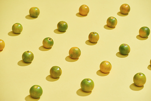 Flat lay pattern of fresh Calamondin or citrus microcarpa on a colorful background. Top view - Image