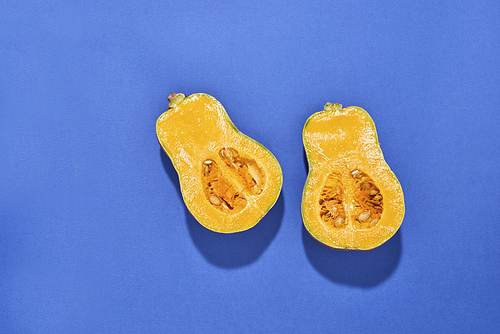 Two halves of ripe butternut squash pumpkin on a blue background. Orange pumpkin with a tail. Close-up