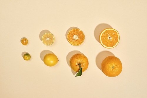 Citrus fruits are on a white background. Kumquat, lemon, mandarin, orange are on pastel background - Image