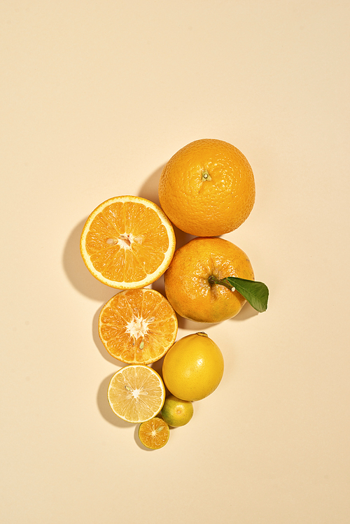 Citrus fruits are on a white background. Kumquat, lemon, mandarin, orange are on pastel background - Image