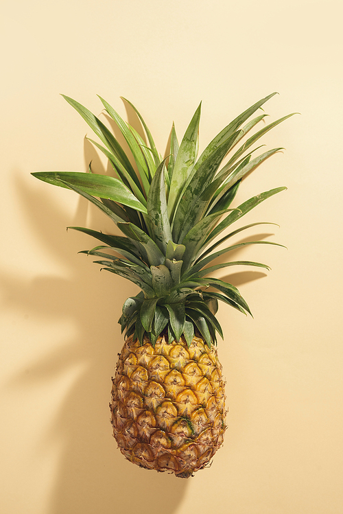 whole ripe pineapple fruit isolated on white