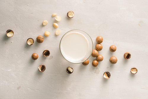 Superfood. Organic macadamia nuts and glass of macadamia milk on stone background.