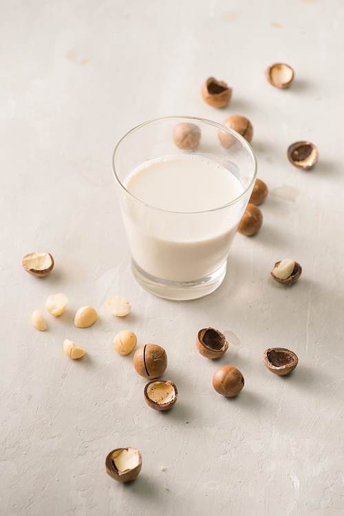 Superfood. Organic macadamia nuts and glass of macadamia milk on stone background.