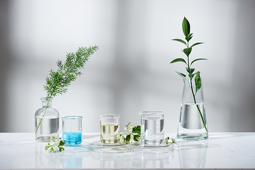 laboratory experiment and research with leaf, oil and ingredient extract for natural beauty and organic skincare product the blank bottle for label ,bio science concept. alternative medicine. spa.