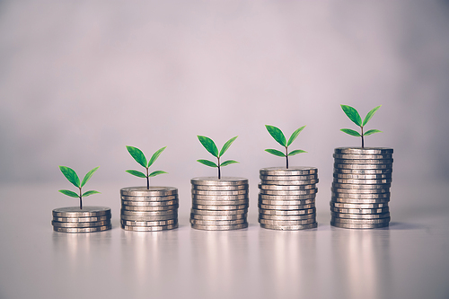 Coin stack with increase growth and leaf, finance and saving with tree, investment for profit and success, planning with financial, growing economy and fund, stock and income, business concept.