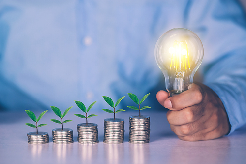 Hands of businessman holding light bulb while coin and tree on desk, saving and finance for success, knowledge about deposit and earning and investment, solution and inspiration, business concept.