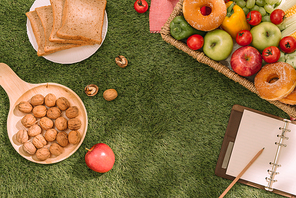 Picnic basket with fruits and book on the grass background