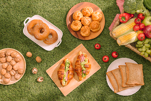 Healthy picnic for a summer vacation with freshly baked croissants, fresh fruit and fruit salad, sandwiches and a glass of refreshing orange juice laid out on a red and white checked cloth and hamper