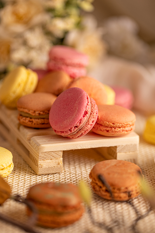 French macaron cookies with light, crunchy texture shells and with different flavors