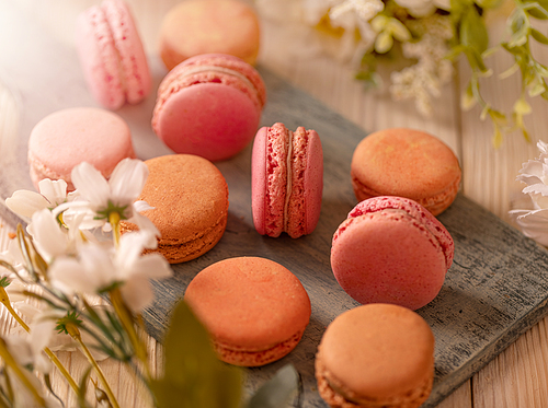 Still life of macarons delicate, tasty and delicious sandwich cookies