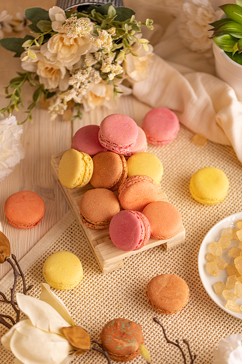 French macaron assortment on pastel still life compopsition