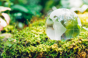 Globe glass in grass forest on nature background, Environment Day Concept