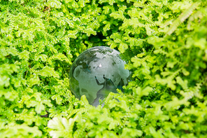 Environment concept glass globe in green grass