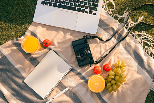 Picnic setting on a outdoor table with fresh fruit, laptop, phone, camera
