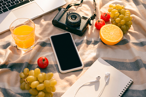 Picnic setting on a outdoor table with fresh fruit, laptop, phone, camera