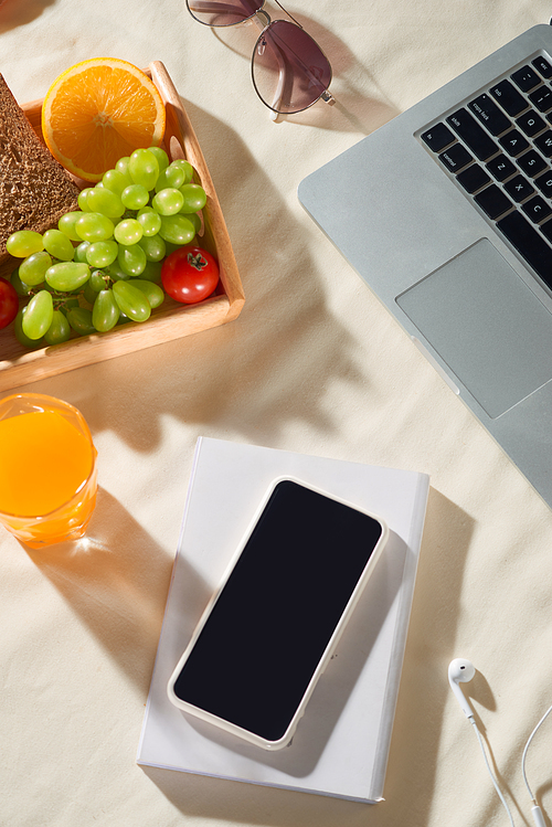 Picnic concept and summer holiday with laptop, phone, juice, fruit, earphone on light background.