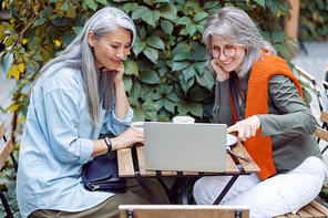 Positive grey haired lady with Asian friend surf internet on modern laptop sitting at small table on outdoors cafe terrace on nice autumn day