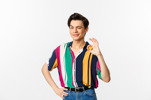 Confident young androgynous man showing okay sign, approve and agree, smiling and winking at camera, guarantee and recommend, standing over white background.