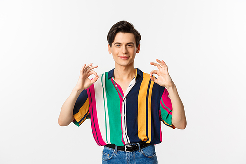 Satisfied young queer man showing okay signs and smiling in approval, agree and like something, praise excellent choice, standing over white background.