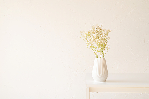 White gypsophila flowers in white vase on the table, minimal style, copy space