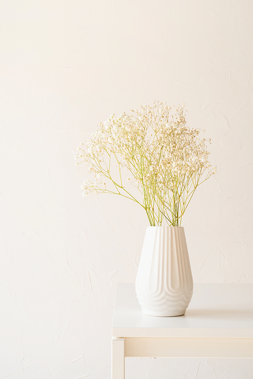 White gypsophila flowers in white vase on the table, minimal style, copy space