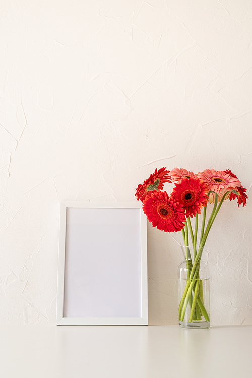 red gerbera flowers with a blank white frame on white background. Mock up design