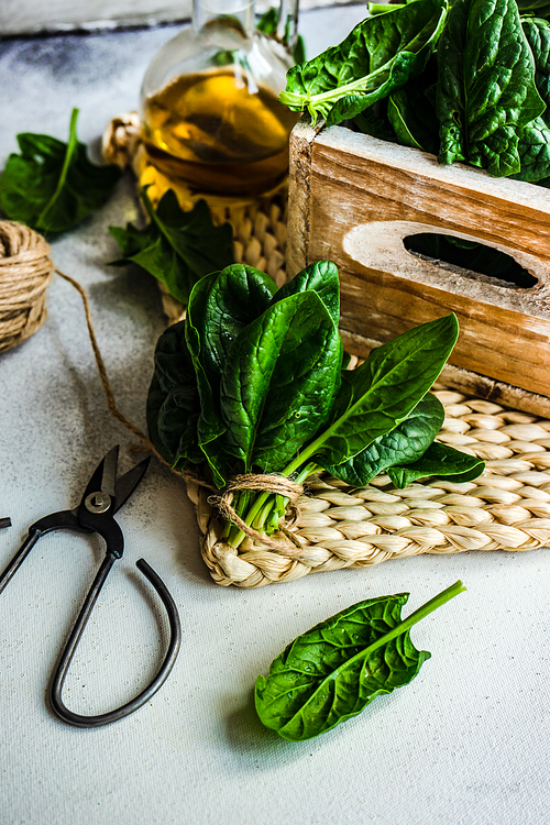 Organic food concept with fresh organic baby spinach leaves and oil on light background