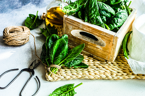 Organic food concept with fresh organic baby spinach leaves and oil on light background