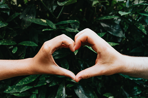 Two young hands making a heart symbol in front of some green plants