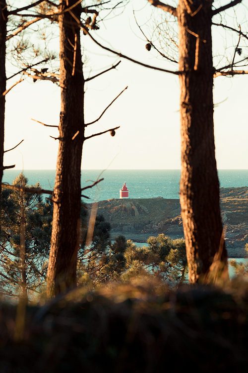 A lighthouse relaxing view from the forest with the trees in front during a spring day on colorful tones