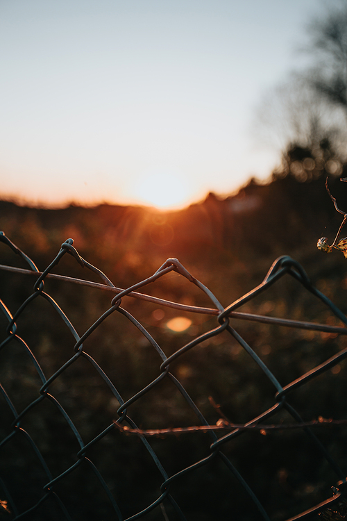 A moody shot of a fence with a out of focus background during the sunset, inspiring with copy space