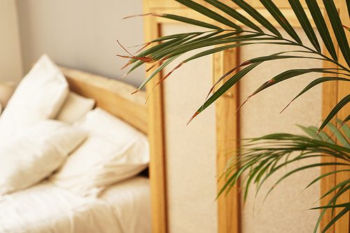 Living space or hotel room in a Scandinavian style. Green plant on blurred background