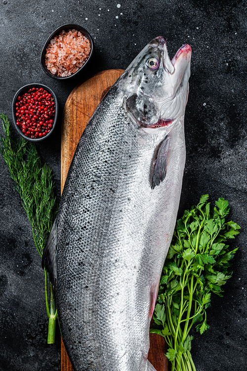 Uncooked raw sea salmon whole fish on a  wooden board with herbs. Black background. Top view.