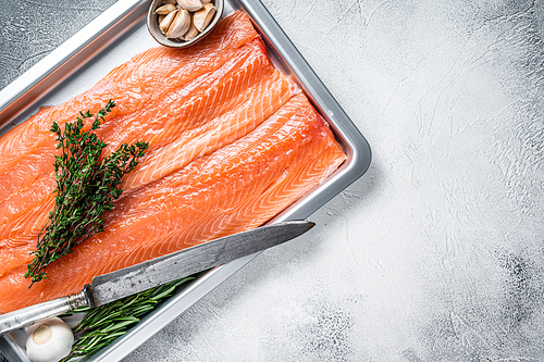 Raw uncooked sea salmon fillet fish in a  kitchen tray with herbs. White background. Top view. Copy space.