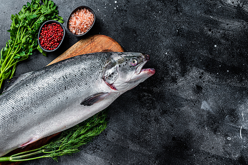 Uncooked raw sea salmon whole fish on a  wooden board with herbs. Black background. Top view. Copy space.