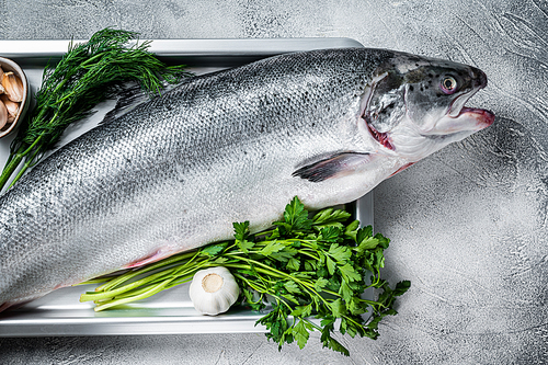 Raw uncooked sea salmon whole fish in a  tray with herbs. White background. Top view.