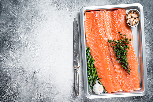 Raw uncooked sea salmon fillet fish in a  kitchen tray with herbs. White background. Top view. Copy space.