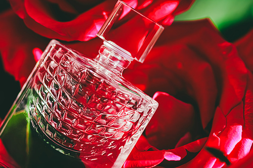 Perfume in roses, perfumery as luxury gift, beauty flatlay background and cosmetic product ad.