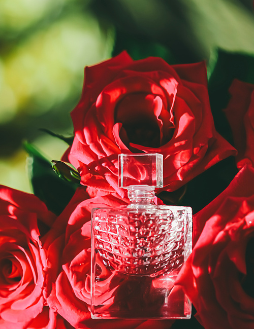 Glass perfume bottle in red roses, perfumery as luxury gift, beauty flatlay background and cosmetic product ad.